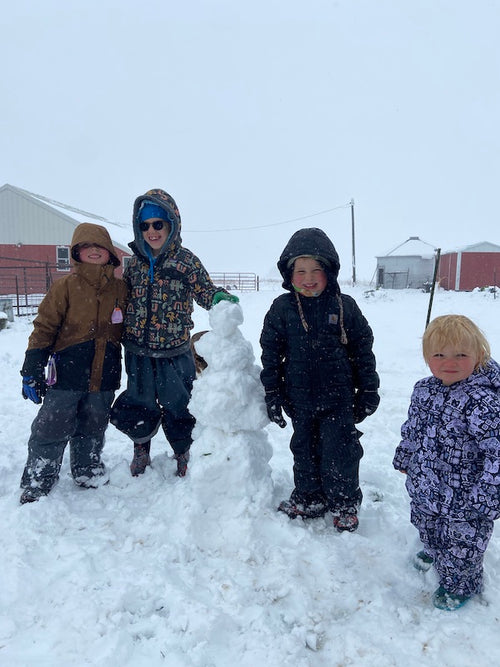 Winter #13 – Stick Leg Ranch